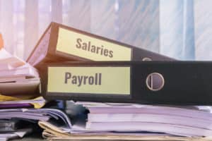 payroll company vs. PEO company